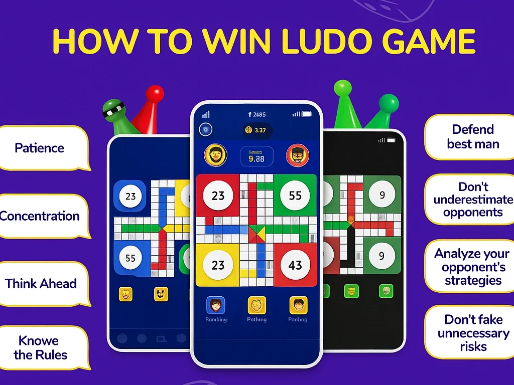 Ludo Game Parts